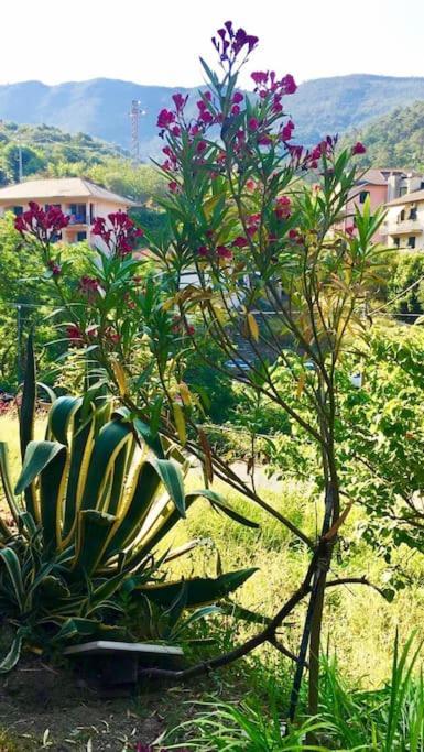 La Casa Novella, A 10 Minuti A Piedi Dal Mare 莫内利亚 外观 照片
