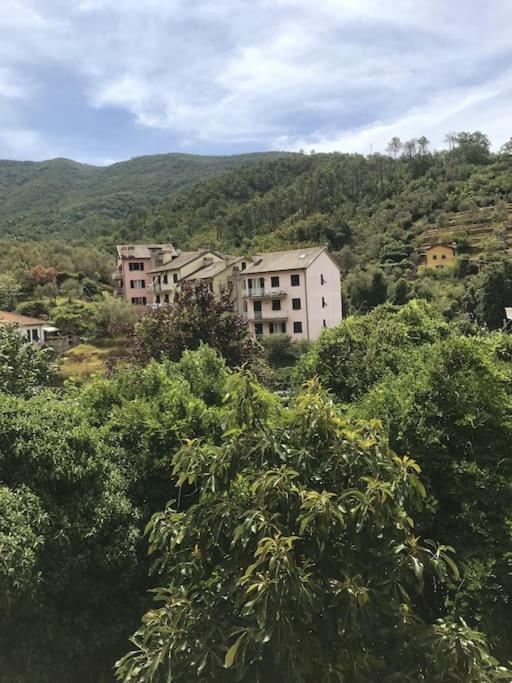 La Casa Novella, A 10 Minuti A Piedi Dal Mare 莫内利亚 外观 照片