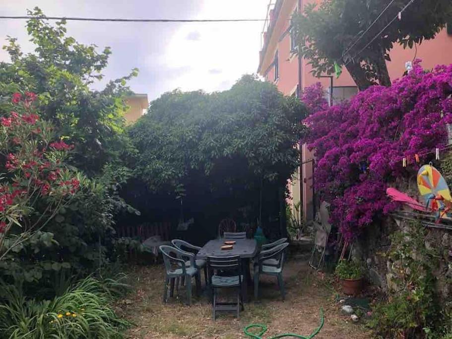 La Casa Novella, A 10 Minuti A Piedi Dal Mare 莫内利亚 外观 照片